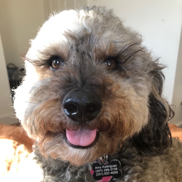 Meet your Posher, Amy - Picture 1 of 1